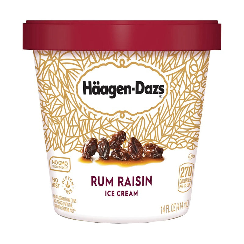 Haagen-Dazs Rum Raisin Ice Cream 14oz – Taste it! Market